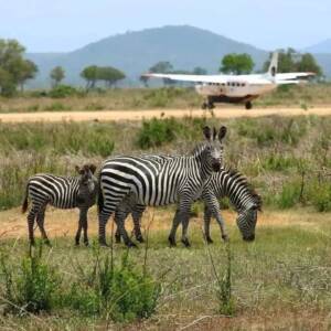 Mikumi-Karibu-Zanzibar