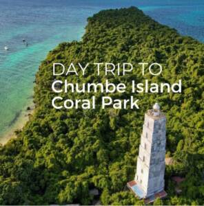 WhatsApp-Image-2025-08-05-at-22.28.49