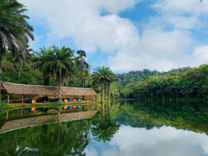 Mangoroto-forest-estate-3-1024x768 (1)