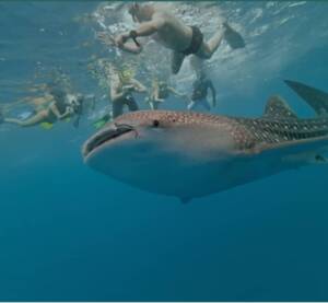 WhatsApp-Image-2025-07-17-at-03.40.01