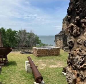 WhatsApp-Image-2025-07-17-at-03.40.51