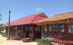 WhatsApp-Image-2025-07-17-at-03.44.43-730x456