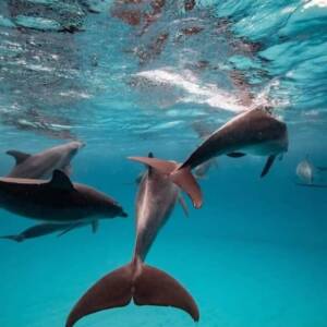 WhatsApp-Image-2025-07-17-at-03.59.20-1